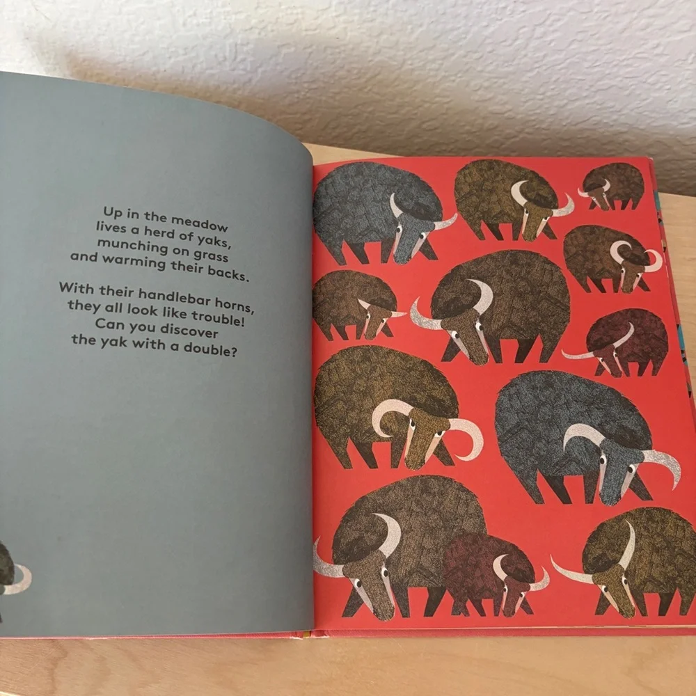 Where's The Pair? Spotting Book - Children’s Hardcover Book